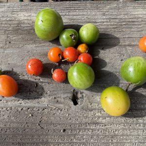 カントリーくろぷー